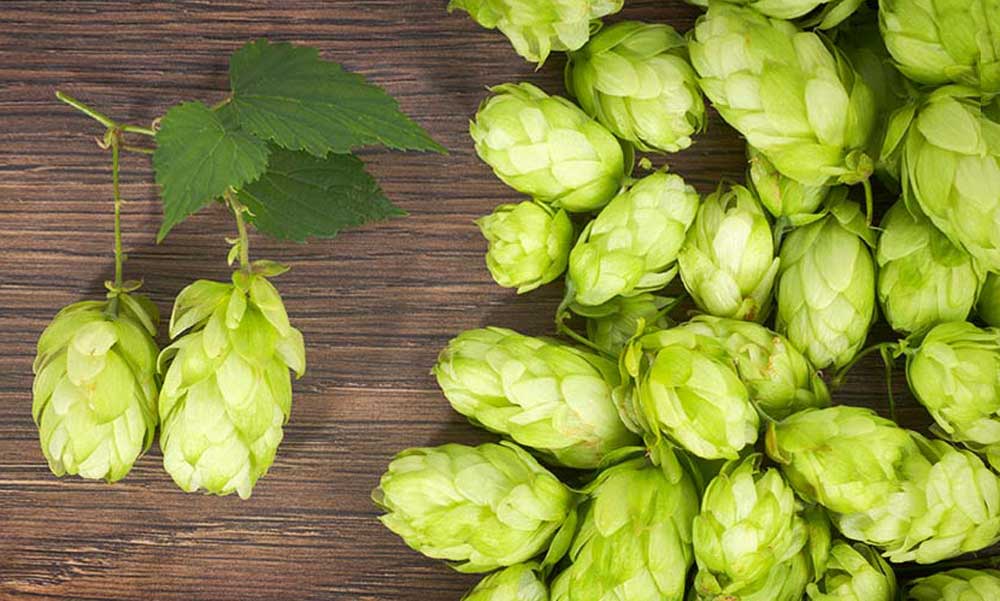 開精釀啤酒廠容易嗎？