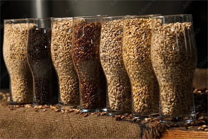 精釀啤酒原料-山東天泰<a href=http://m.zgvsh.cn/ target=_blank class=infotextkey>啤酒設備</a>